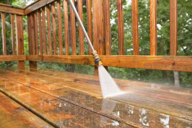 Best Fence Cleaning  in Yalaha, FL